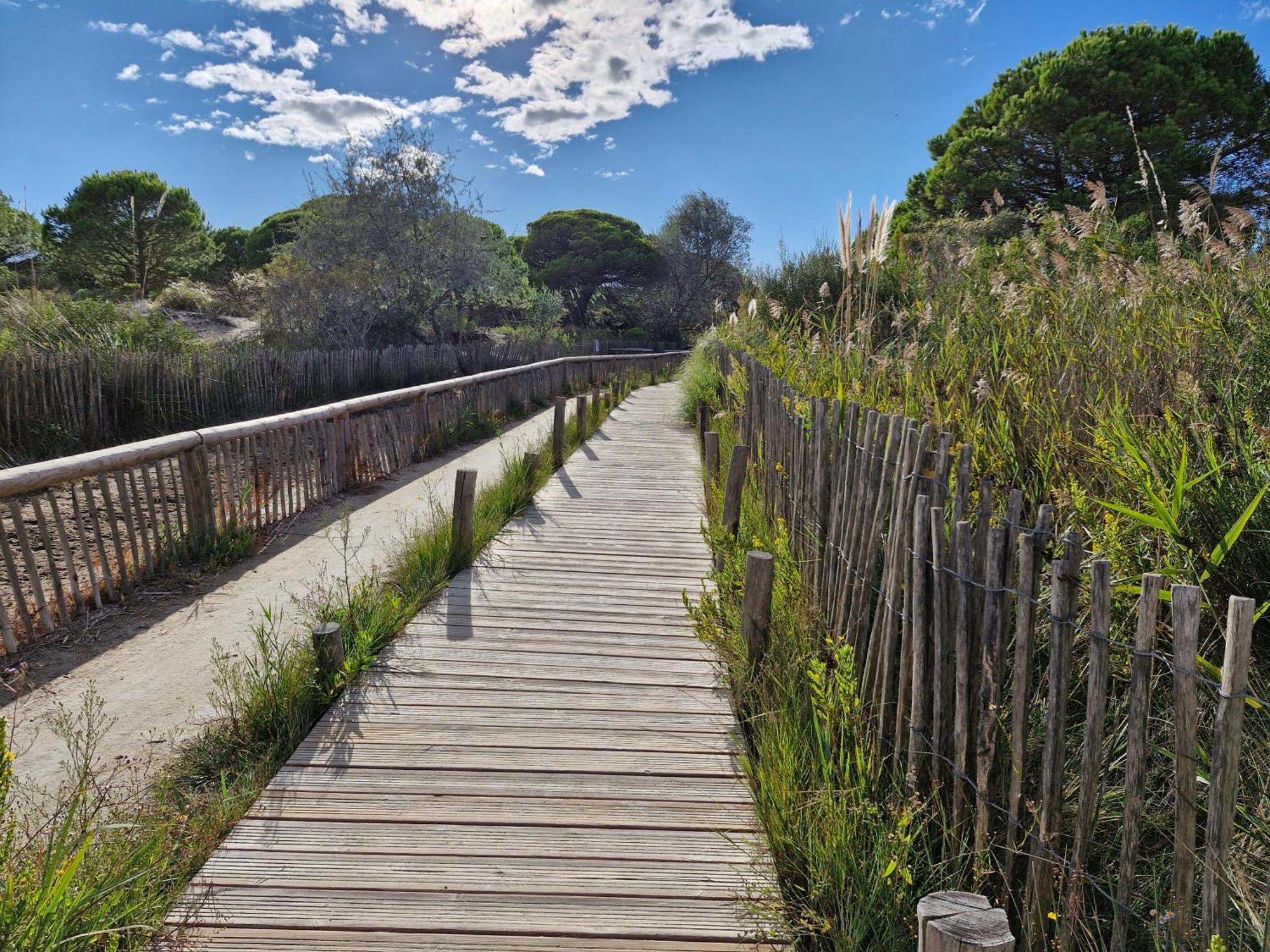 Апартаменти Sable & Pampas - Meuble De Tourisme 5 Etoiles Карнон-Плаж Екстер'єр фото